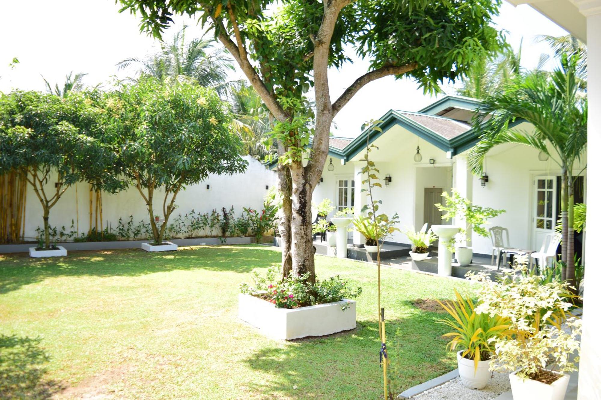 The Bamboo Tree Transit Hotel Katunayaka Kültér fotó