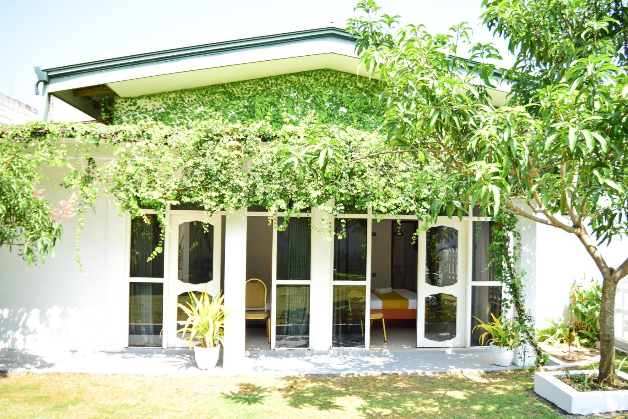 The Bamboo Tree Transit Hotel Katunayaka Kültér fotó